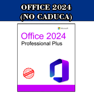 OFFICE 2024 PRO PLUS