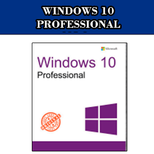 WINDOWS 10 PROFESSIONAL