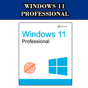 WINDOWS 11 PROFESSIONAL